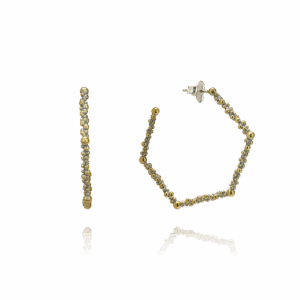 Apis