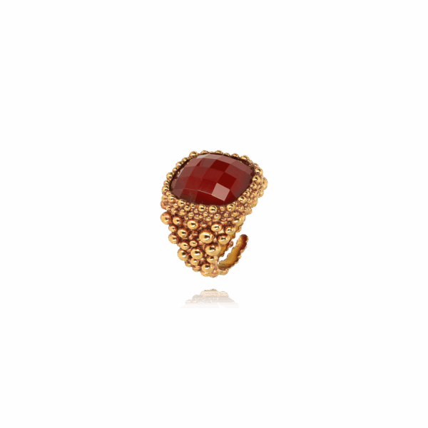 Assolo