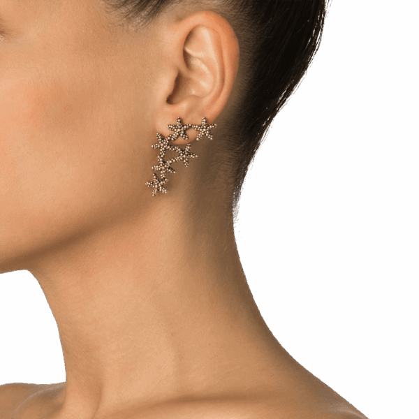 Sparkling - Image 4