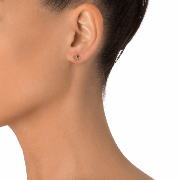 Stellina - Image 2