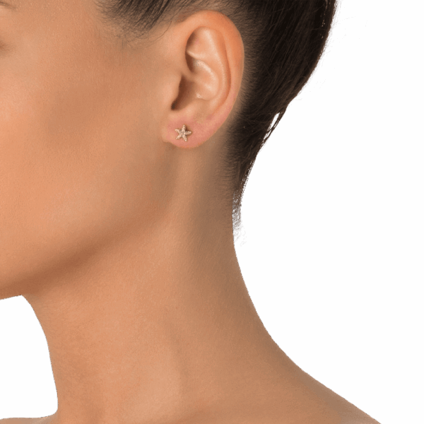 Stellina - Image 3