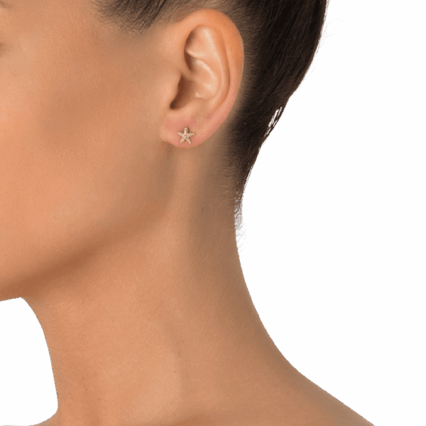 Stellina - Image 4