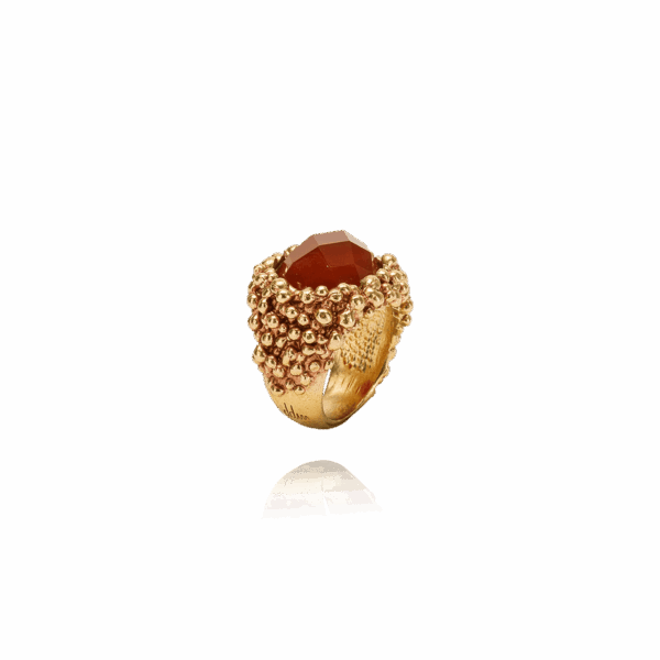 Petitbonbon